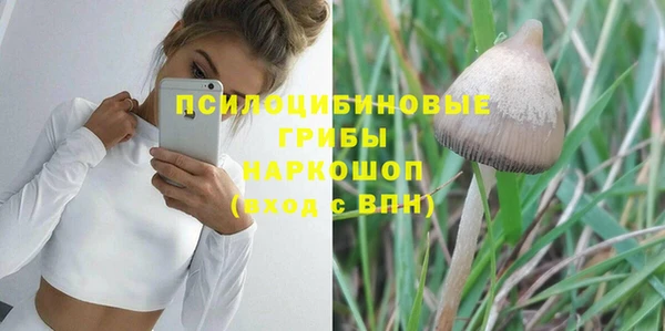 амф Арсеньев