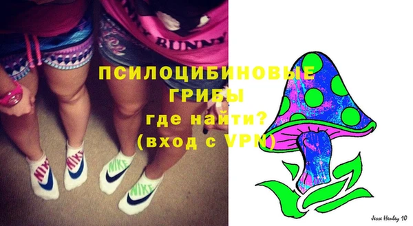 амф Арсеньев
